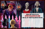 Website advertisement