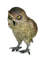 00157081-b.jpg (15 KB) Side View