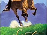 Spirit: Stallion of the Cimarron (book)