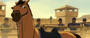 Spirit-stallion-disneyscreencaps com-2784