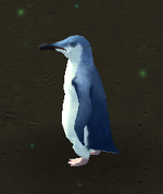 Blue Penguin