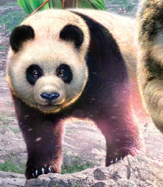 Jhi | Spirit Animals Wiki | Fandom Jhi | Spirit Animals Wiki | Fandom