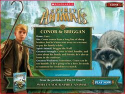 connor spirit animals