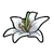 Atul's Spirit Flower