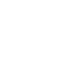 Icon Bat
