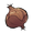 Onion