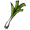 Leek