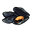 Common Mussel.png