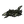Tea Leaves