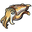 Cuttlefish.png