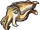 Cuttlefish