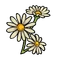 Summer's Spirit Flower