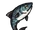 Anchovy