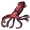 Squid
