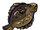 Flounder