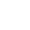 Icon Hedgehog