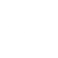 Icon Hedgehog