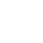 Icon Lion