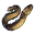 Eel.png