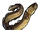 Eel