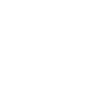 Icon TinyOwl