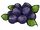 Blueberry