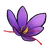 Daria's Spirit Flower