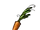 Carrot