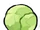 Cabbage