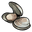 Clam.png