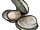 Clam