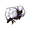 Cotton Fibre