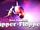 Flipper-Flopper