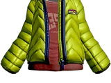 Matcha Down Jacket