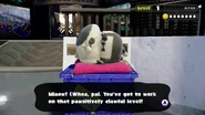 Judd asleep on the trash can near the Inkopolis Tower.