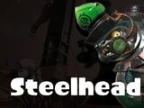 Steelhead