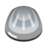 Silver scale