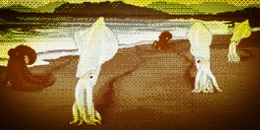 Calamari che imparano a camminare sulla terra ferma (foto del Registro 5)