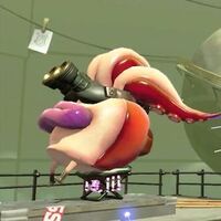 Uno Sputacchiolpo sulla sua sedia mentre si prepara a rigurgitare.