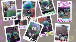 Several pictures of jellyfish.