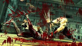 Phase4fight2.jpg