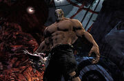 8004 splatterhouse610