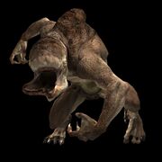 Beast 01.jpg