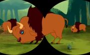 Pufalo herd.jpg