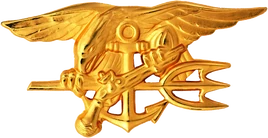 US Navy SEALs insignia
