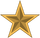 Gold Star