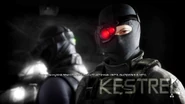 Kestrels mug on loading screen