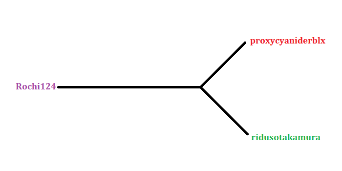 Rochi124 | Sploder Wiki | Fandom