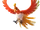 Ho-Oh
