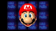 A Screenshot of Mario's head for fun.